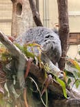 多摩動物公園に投稿された画像（2026/1/11）