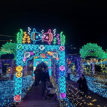 伊豆高原グランイルミに投稿された画像（2026/1/11）