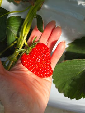 ＠FARMに投稿された画像（2026/1/11）