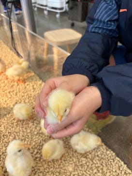 Moff アニマル カフェ イーアス 高尾店に投稿された画像（2026/1/11）