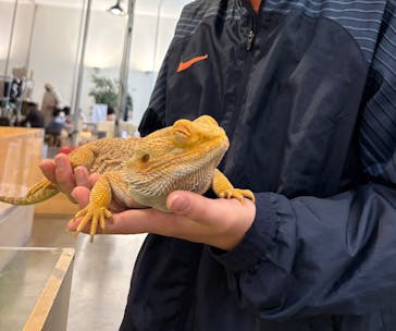 Moff アニマル カフェ イーアス 高尾店に投稿された画像（2026/1/11）