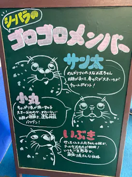 ゼロ距離水族館 伊勢シーパラダイスに投稿された画像（2026/1/11）