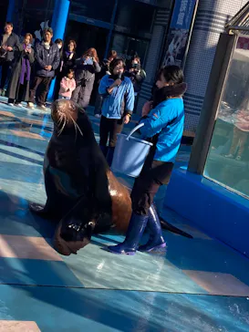 ゼロ距離水族館 伊勢シーパラダイスに投稿された画像（2026/1/11）