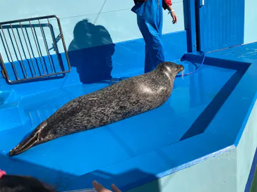 ゼロ距離水族館 伊勢シーパラダイスに投稿された画像（2026/1/11）