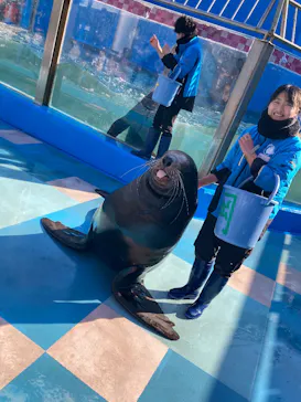 ゼロ距離水族館 伊勢シーパラダイスに投稿された画像（2026/1/11）