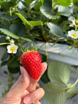 ニューベリーに投稿された画像（2026/1/11）