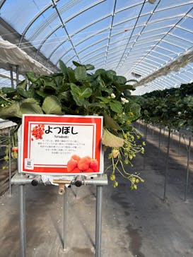 ニューベリーに投稿された画像（2026/1/11）