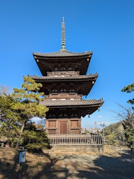 三溪園に投稿された画像（2026/1/11）