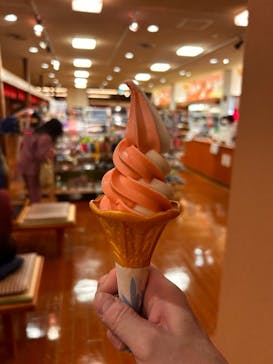 有馬温泉 太閤の湯に投稿された画像（2026/1/11）