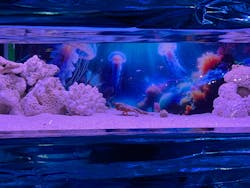 ひらかたパークに投稿された画像（2026/1/11）