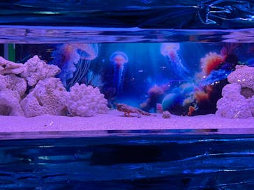 ひらかたパークに投稿された画像（2026/1/11）