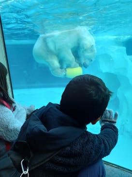 恩賜上野動物園に投稿された画像（2026/1/11）