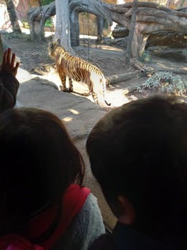 恩賜上野動物園に投稿された画像（2026/1/11）