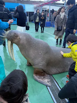 ゼロ距離水族館 伊勢シーパラダイスに投稿された画像（2026/1/11）