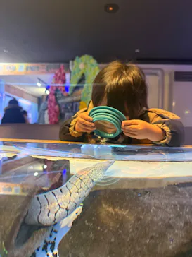 ゼロ距離水族館 伊勢シーパラダイスに投稿された画像（2026/1/11）