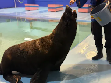 ゼロ距離水族館 伊勢シーパラダイスに投稿された画像（2026/1/11）