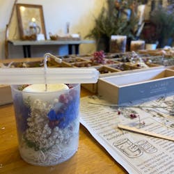 une graine（アングレンヌ）に投稿された画像（2026/1/11）