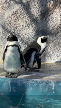 恩賜上野動物園に投稿された画像（2026/1/11）