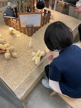 Moff アニマル カフェ イーアス 高尾店に投稿された画像（2026/1/11）