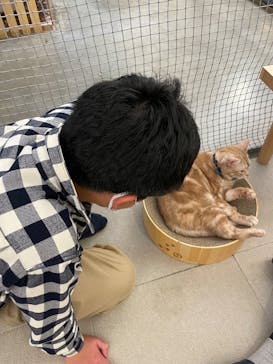 Moff アニマル カフェ イーアス 高尾店に投稿された画像（2026/1/11）