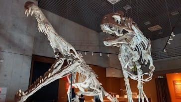 特別展「大絶滅展―生命史のビッグファイブ」に投稿された画像（2026/1/11）