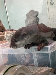 NIFREL（ニフレル）に投稿された画像（2026/1/11）