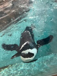 NIFREL（ニフレル）に投稿された画像（2026/1/11）