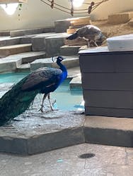 NIFREL（ニフレル）に投稿された画像（2026/1/11）