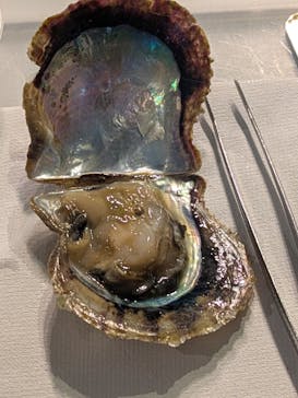 しながわ水族館に投稿された画像（2026/1/11）