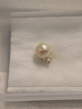 しながわ水族館に投稿された画像（2026/1/11）