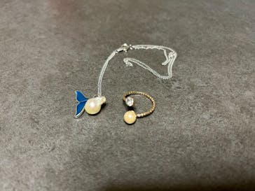 しながわ水族館に投稿された画像（2026/1/11）