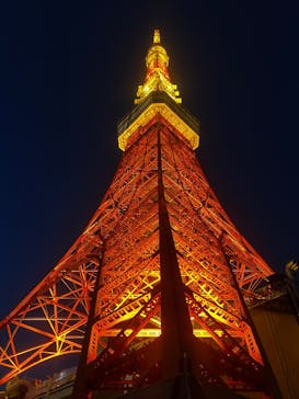 東京タワーに投稿された画像（2026/1/11）