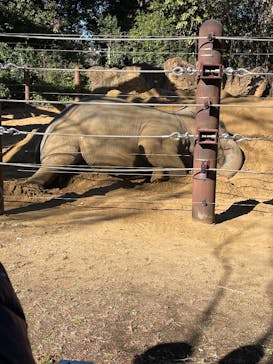 恩賜上野動物園に投稿された画像（2026/1/11）
