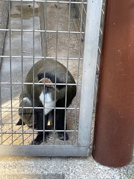 恩賜上野動物園に投稿された画像（2026/1/11）