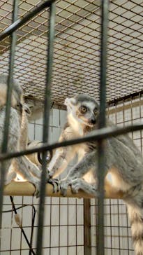 伊豆シャボテン動物公園に投稿された画像（2026/1/11）