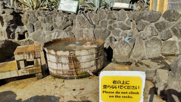 伊豆シャボテン動物公園に投稿された画像（2026/1/11）