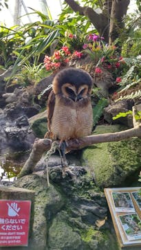 伊豆シャボテン動物公園に投稿された画像（2026/1/11）