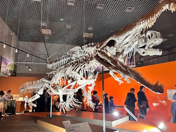 特別展「大絶滅展―生命史のビッグファイブ」に投稿された画像（2026/1/11）