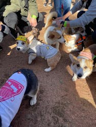 わんダフルネイチャーヴィレッジに投稿された画像（2026/1/11）