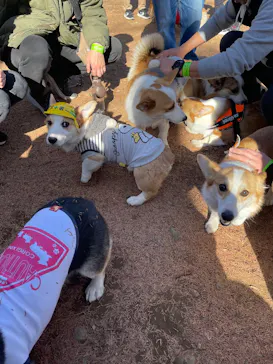 わんダフルネイチャーヴィレッジに投稿された画像（2026/1/11）