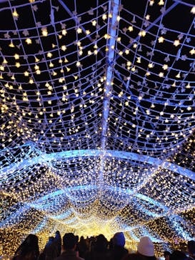 東京メガイルミに投稿された画像（2026/1/11）