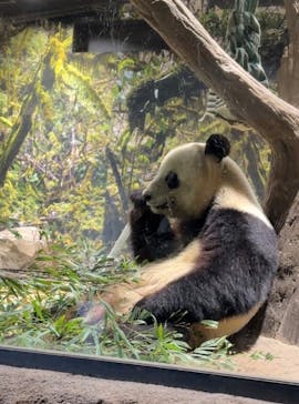 恩賜上野動物園に投稿された画像（2026/1/11）
