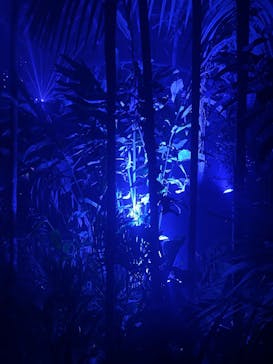 京都府立植物園　LIGHT CYCLES KYOTOに投稿された画像（2026/1/11）