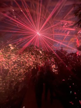 京都府立植物園　LIGHT CYCLES KYOTOに投稿された画像（2026/1/11）