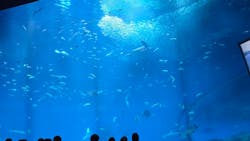 アクアワールド茨城県大洗水族館に投稿された画像（2026/1/11）