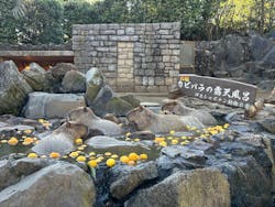 伊豆シャボテン動物公園に投稿された画像（2026/1/11）