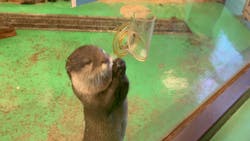 伊豆シャボテン動物公園に投稿された画像（2026/1/11）