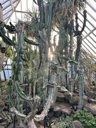 伊豆シャボテン動物公園に投稿された画像（2026/1/11）