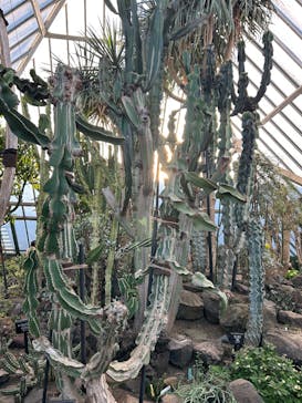 伊豆シャボテン動物公園に投稿された画像（2026/1/11）