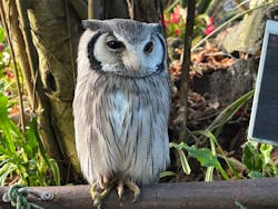伊豆シャボテン動物公園に投稿された画像（2026/1/11）